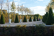 Teather im Barockgarten in Herrenhausen