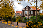 in Celle