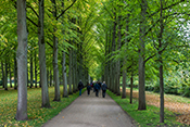 Celle, französischer Garten